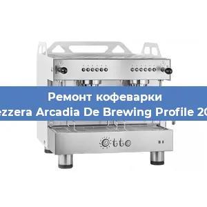 Чистка кофемашины Bezzera Arcadia De Brewing Profile 2GR от накипи в Ростове-на-Дону